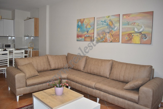 One bedroom apartment for rent close to Liqeni i Thate area in Tirana, Albania